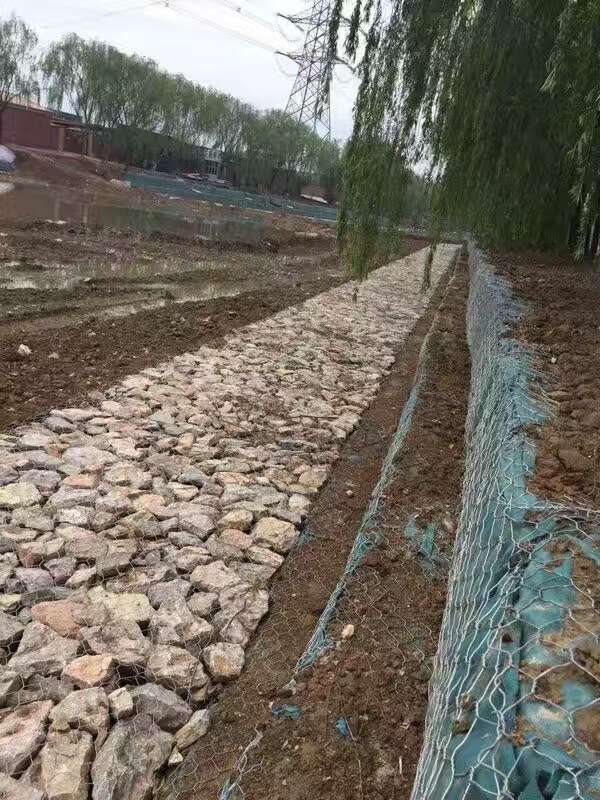 安徽省巢湖市巢湖北岸富磷區(qū)域水土流失防治工程