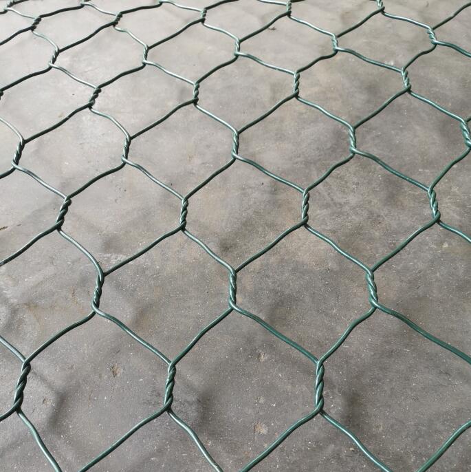 Zo(h)|15531868633