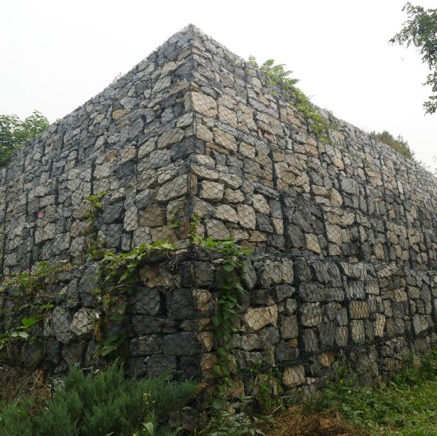 Ϳʯ\W15531868633