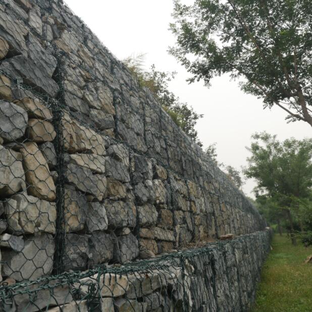 僸ߠZo(h)|15531868633