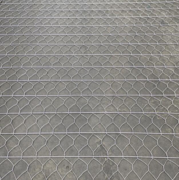 ·ӽW15531868633